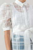 A See-thru Mini Length Organza Top